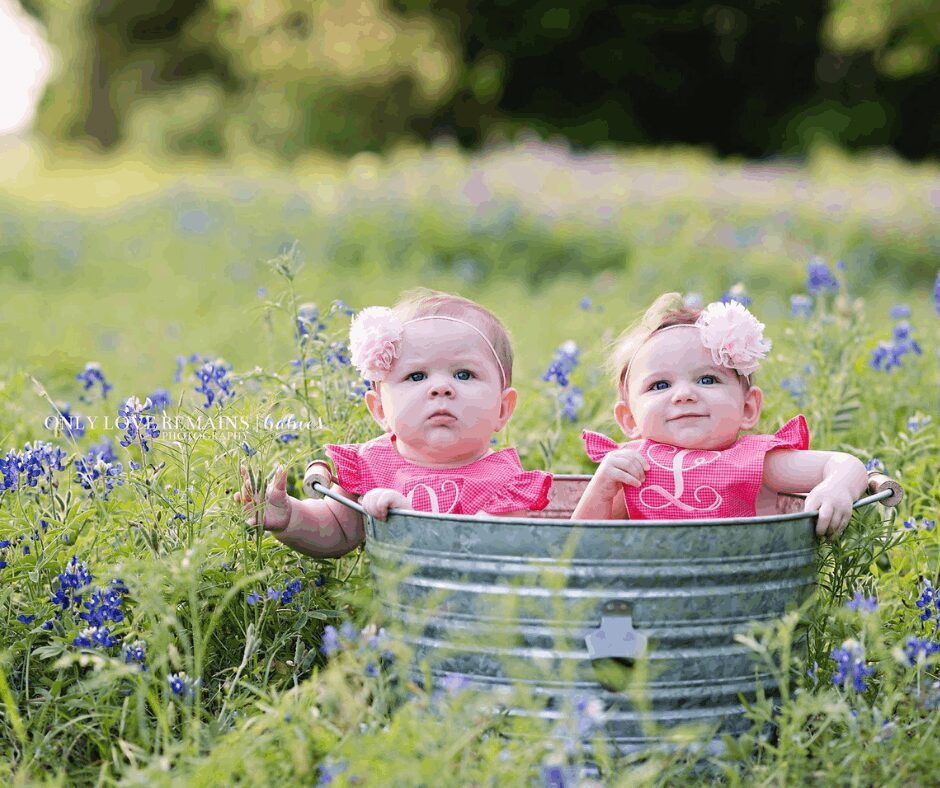 Family Photographer 